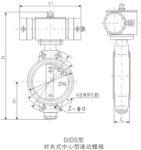 D/DSҺԼʽͭߴ